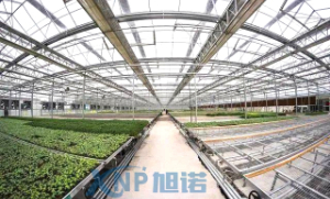 蔬菜温室大棚可以使用小黄片入口链接做骨架吗？